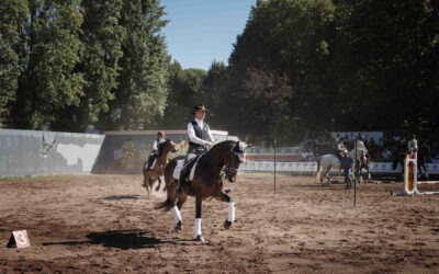 Inaugurata la 53esima Mostra Nazionale del Cavallo