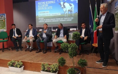 A Villa d’Agri protagonisti i bovini da latte