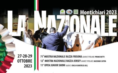 Montichiari 2023: migliorare nella continuità